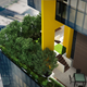 Illustration for article titled Australian building crams tree-lined city street into 35 stories